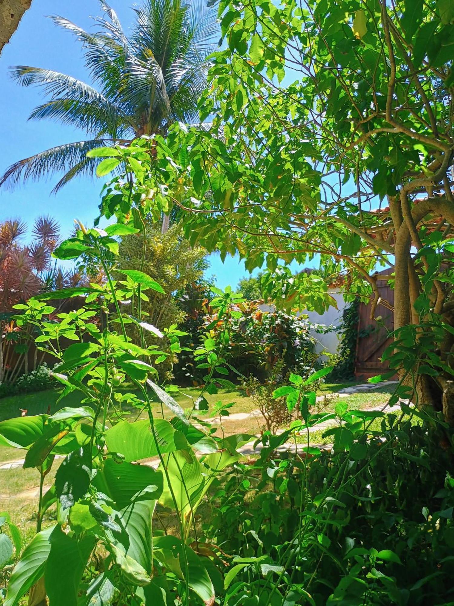Namorada Brava Bed & Breakfast *